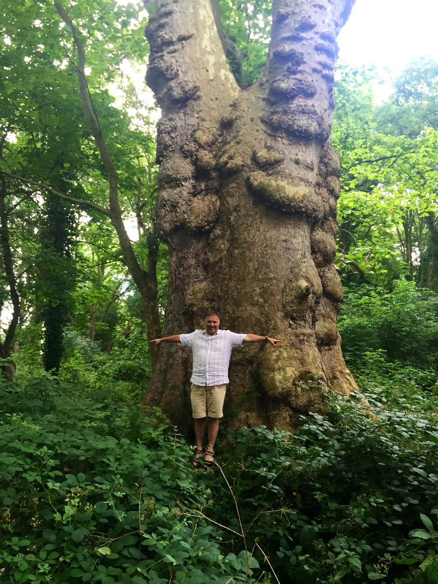 TiCLme's tweet photo. Over the next year I’ll be visiting the UK’s greatest trees 🇬🇧🌳😍
Come with me @Twitter @TiCLme
#GreatTreesofBritain #GTOB https://t.co/ds1ltKtOJF