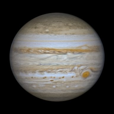 Grant Petersen tweet media