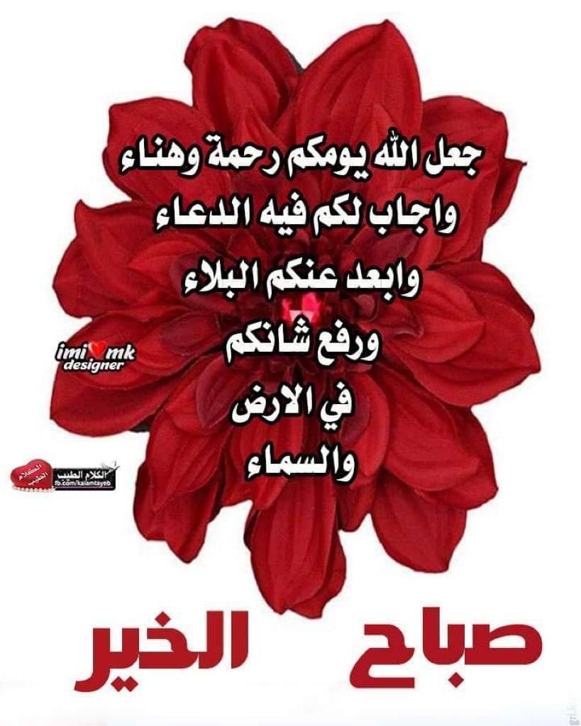 badawimaha2's tweet photo. https://t.co/MdtIkxmvbZ