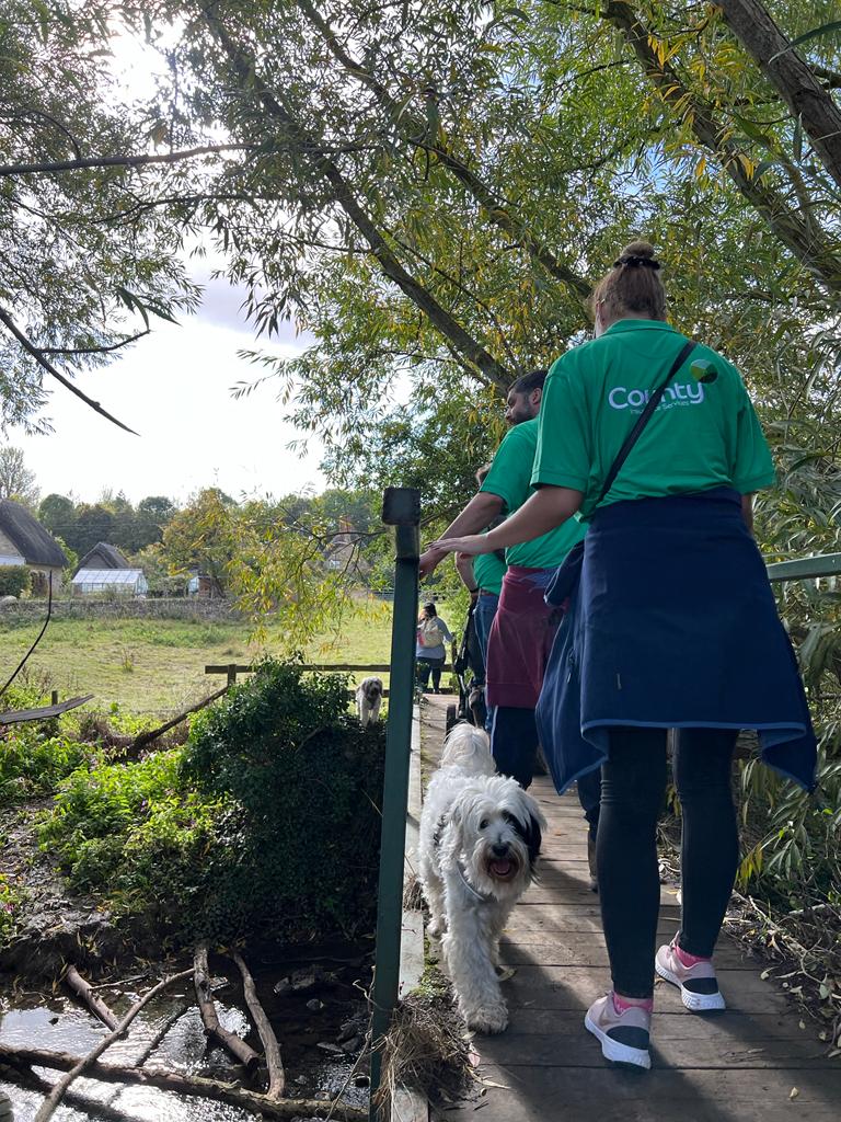 County Insurance tweet media