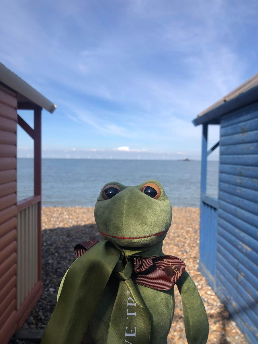 AlfredFrog's tweet photo. Have you seen Heartstopper? I took a day trip on a train and went to the beach at Herne Bay where the show has some scenes in. Very cool! https://t.co/4BQmdbcAXX