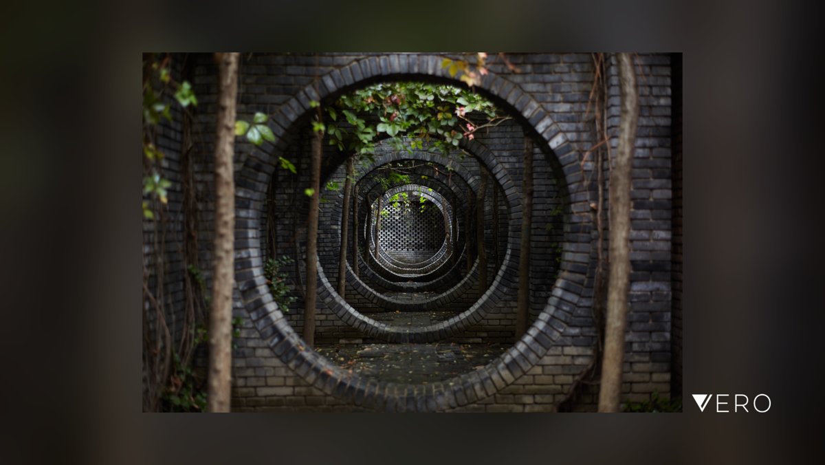 _andy_kang's tweet image. #GeometricShape #Architecture #Outdoors #Shape #Circle #Plant #Pattern #Tree #History #photography #Photography vero.co/_andy_kang/d8-…