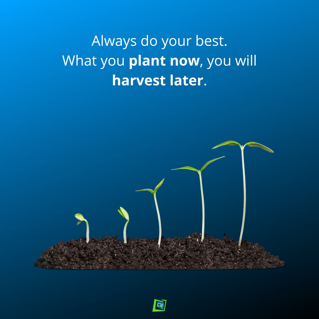 GreenPropositio's tweet photo. #mondaymotivation You Reap What You Sow.
#goal #persistance #strategy #success #mindset #work #entrepreneur #motivation #opportunity #trends #innovation #tips #GPtips #greenproposition https://t.co/JyzGytPoLH