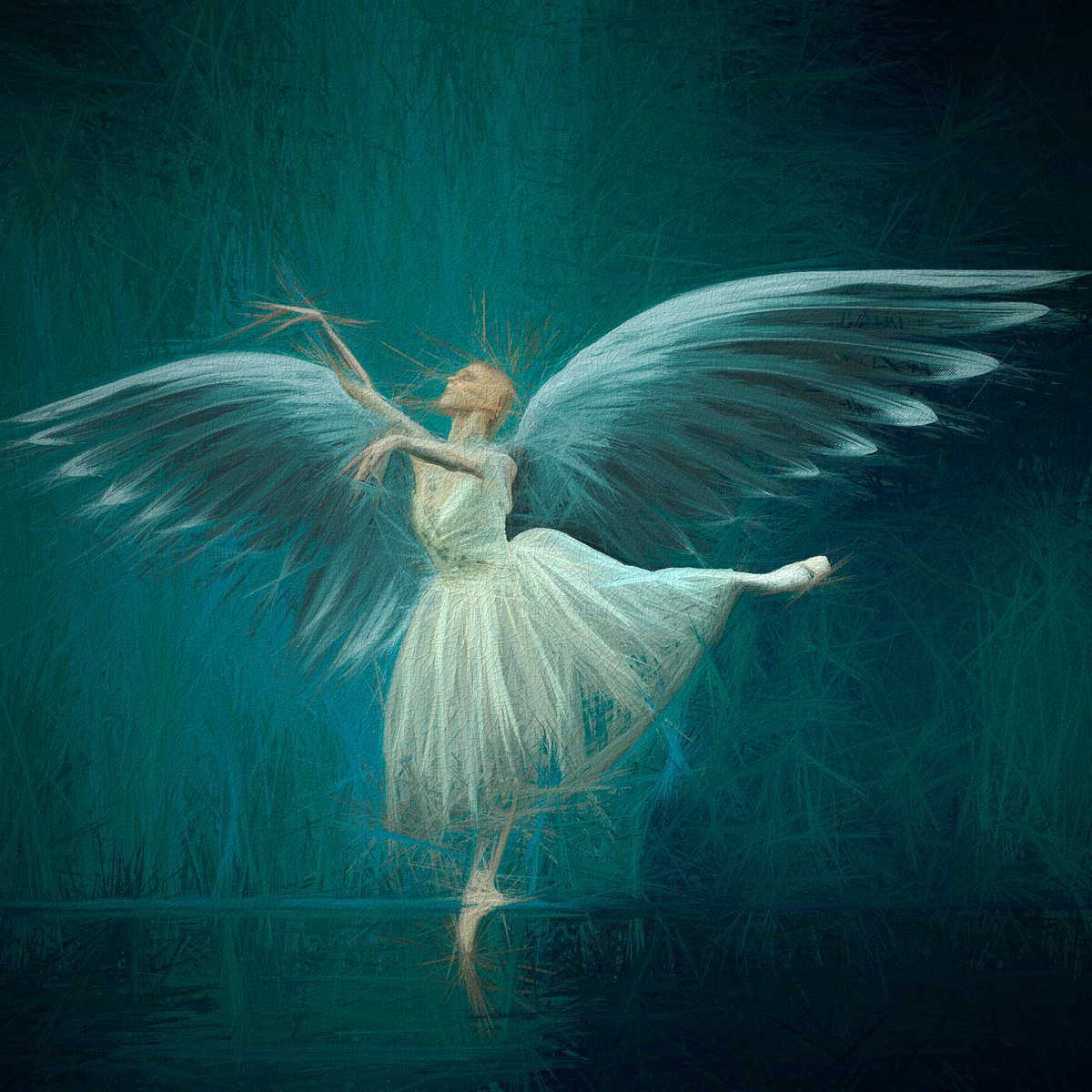 GM Fam - New drop in 'The Art of Flight' Collection - “L'OISEAU BLEU DU PARADIS” 
1/1 0.3eth Reserve.
foundation.app/@DancePixNFT/a…