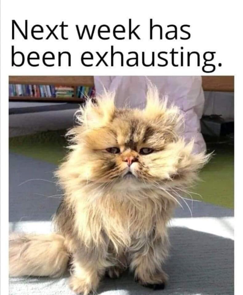 Mandie Alty tweet media