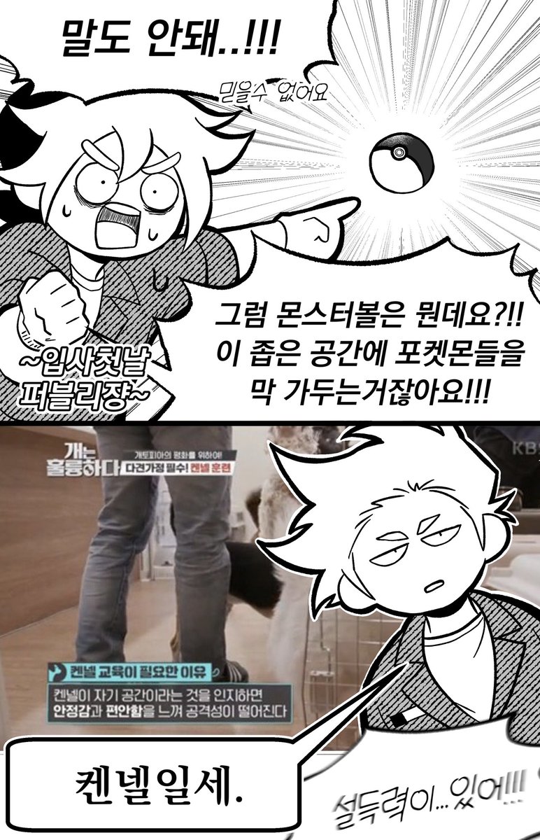 H_PNGN's tweet photo. 몬스터볼은 켄넬이었구나 https://t.co/dVPojCF9Bd