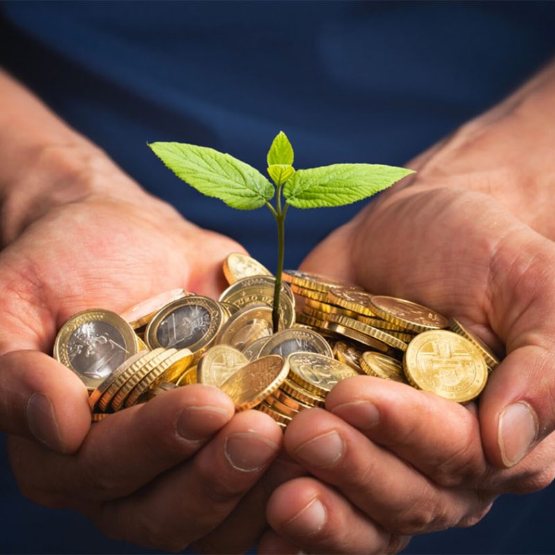 FSCBelgie's tweet photo. 'Klimaatfinanciering voor tropische bosprojecten versnellen', da's wat #Treevive wil doen:

https://t.co/JLFoEnmxfh https://t.co/WXJ7SPhfaf