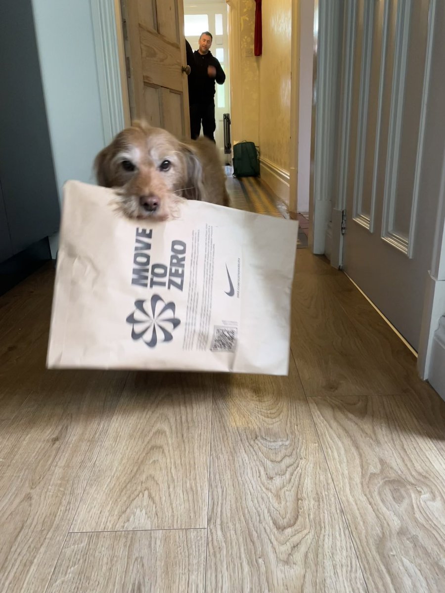 cilla_dog's tweet photo. Postie been…I finished the delivery by taking parcel to ma sista in her room #postdog #delivery #Mondayvibes #dogs #dogsoftwitter #royalmail #DoodleWorld https://t.co/cYGhCzM1aD