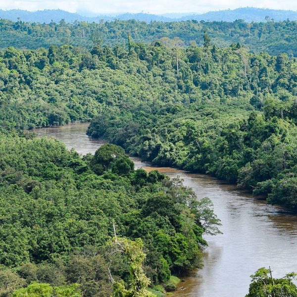 FSC Belgium tweet media