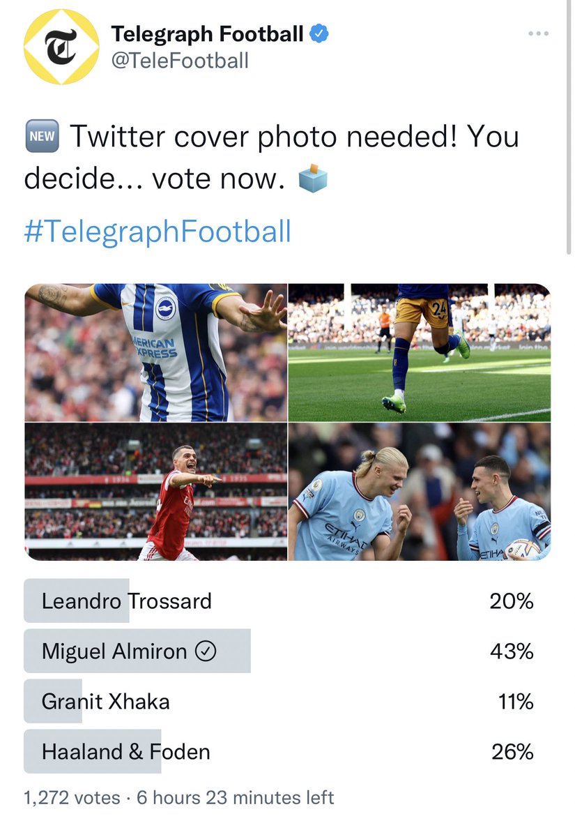 Toon Polls tweet media