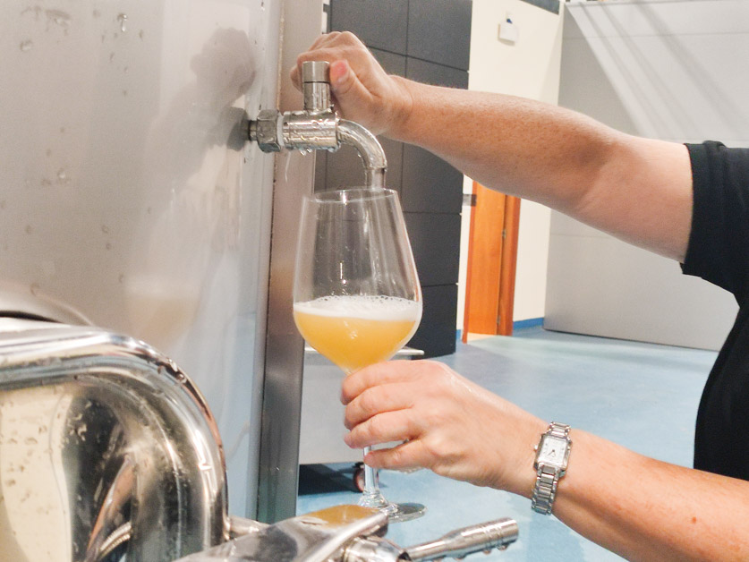 ferratusbodegas's tweet photo. En estas semanas se hace un seguimiento exhaustivo de cada paso del proceso, desde la recogida de la uva hasta los primeros mostos. Así valoramos la calidad del producto 😉🍇.
#ferratus #mujerdelvino #vendimia22 #riberadelduero #ferratusvendimia #vinoblanco #albilllo https://t.co/g7wtR1hkIf