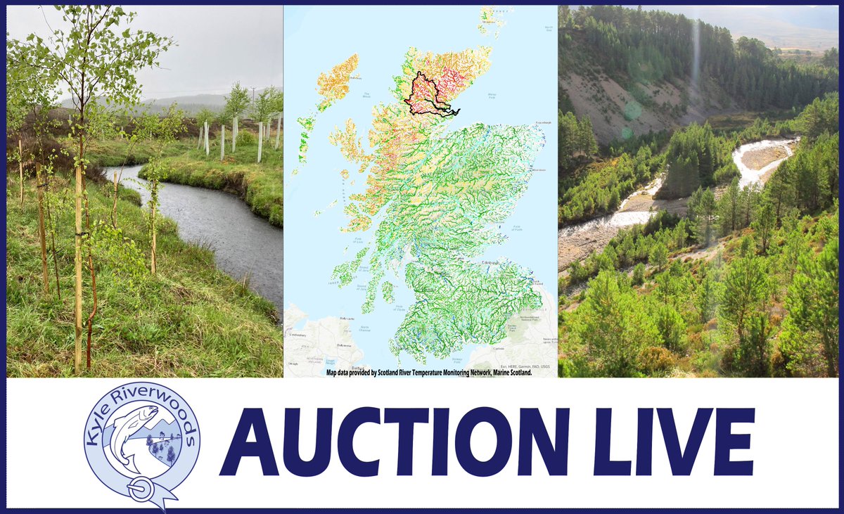 Charity auction now live until Halloween!

Generously donated by our friends, explore 60 lots from ski chalets to food, drink and fly fishing: uk.givergy.com/riverwoods

100% of proceeds go towards restoring native riverbank woodland habitats to boost climate resilience