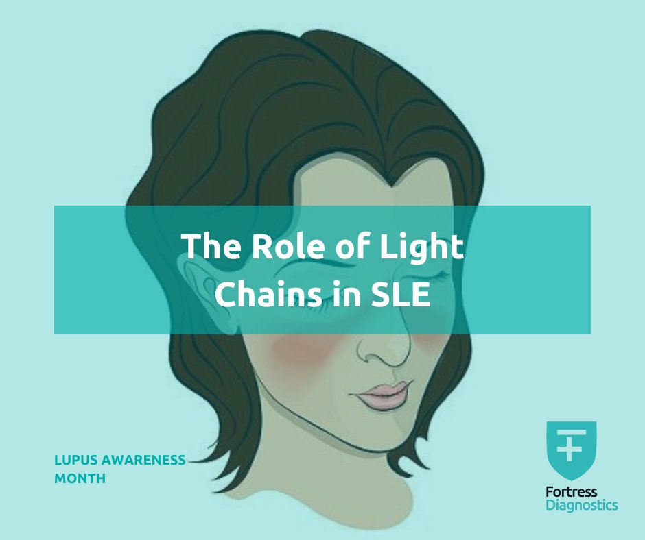 fortressdiag's tweet image. This year Fortress Diagnostics are celebrating #LupusAwarenessMonth, placing a focus on the most common form of lupus, systemic lupus erythematosus (SLE).
Check out our blog to discover the role of light chains in SLE: bit.ly/3BVXse8
#SLE #LightChains #DiagnosticsForLife