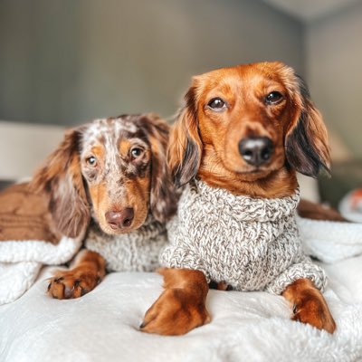 #NewProfilePic 🧡🍂