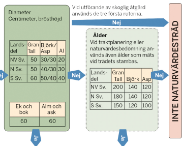 simonhalling's tweet photo. I de nya målbilderna för certifierat skogsbruk ska ekar som har en diameter större än 60 cm automatiskt klassas som naturvårdsträd. Problemet är endast att just skötsel för ek målinriktar sig på att ha just en diameter på 60 cm innan den huggs. 
#certifiering #skog https://t.co/zB2ufdWvI4