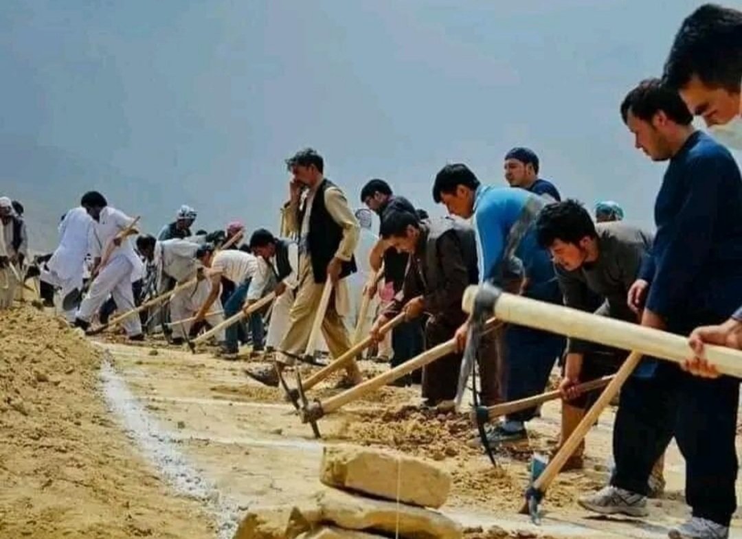 SafaAhmads's tweet photo. تا به کی باید برای عزیزان مان قبر  دسته جمعی بکنیم؟
#StopHazaraGenocide https://t.co/qwZ1bAz3az