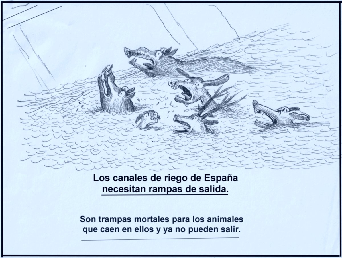 Una indiferencia que quita vidas.