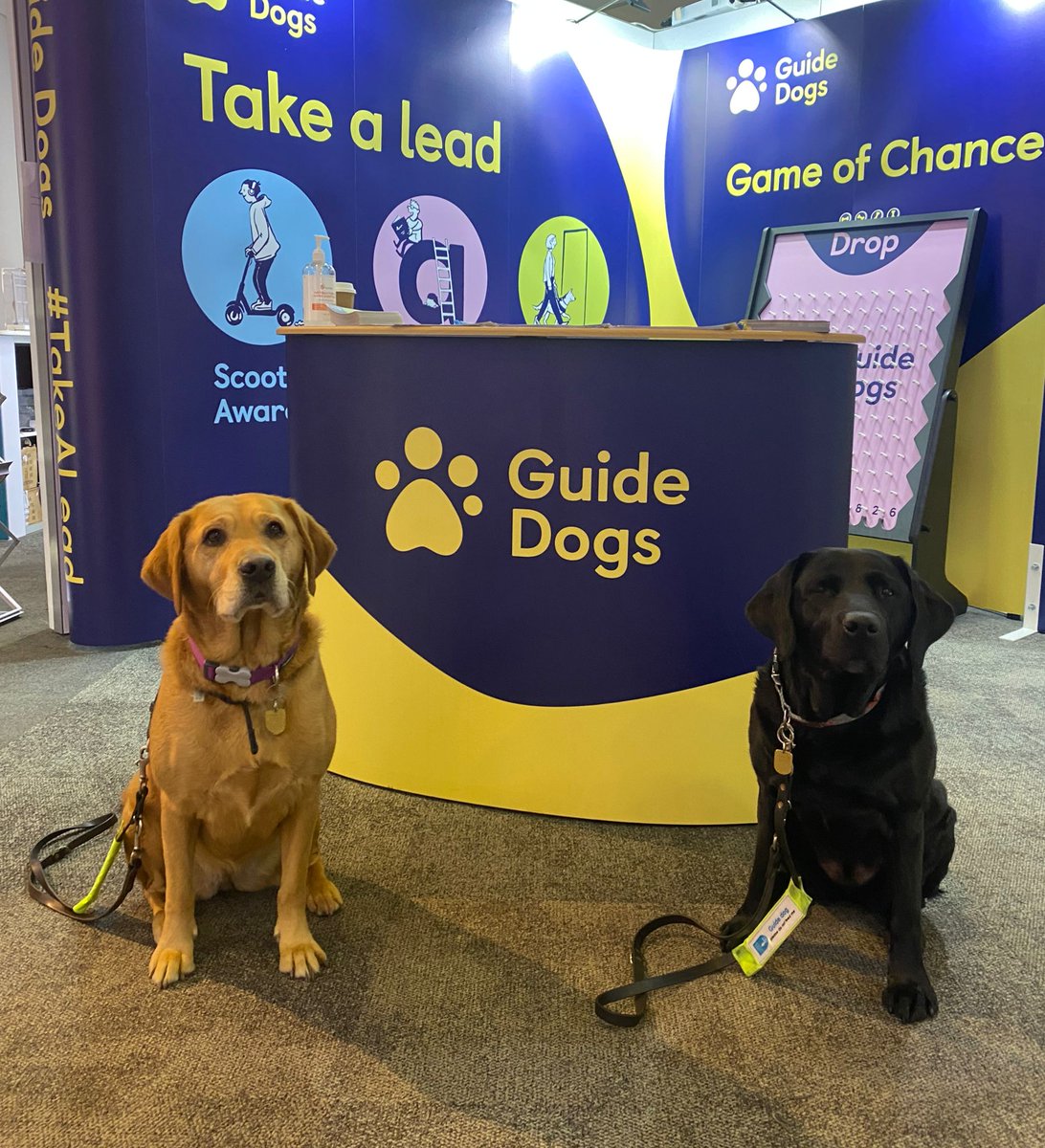 gdcampaigns's tweet photo. Quita and Winnie are ready for Day 2 of #CPC22! Come and visit us at Stand 4 to #TakeALead https://t.co/SOkGeohFK9