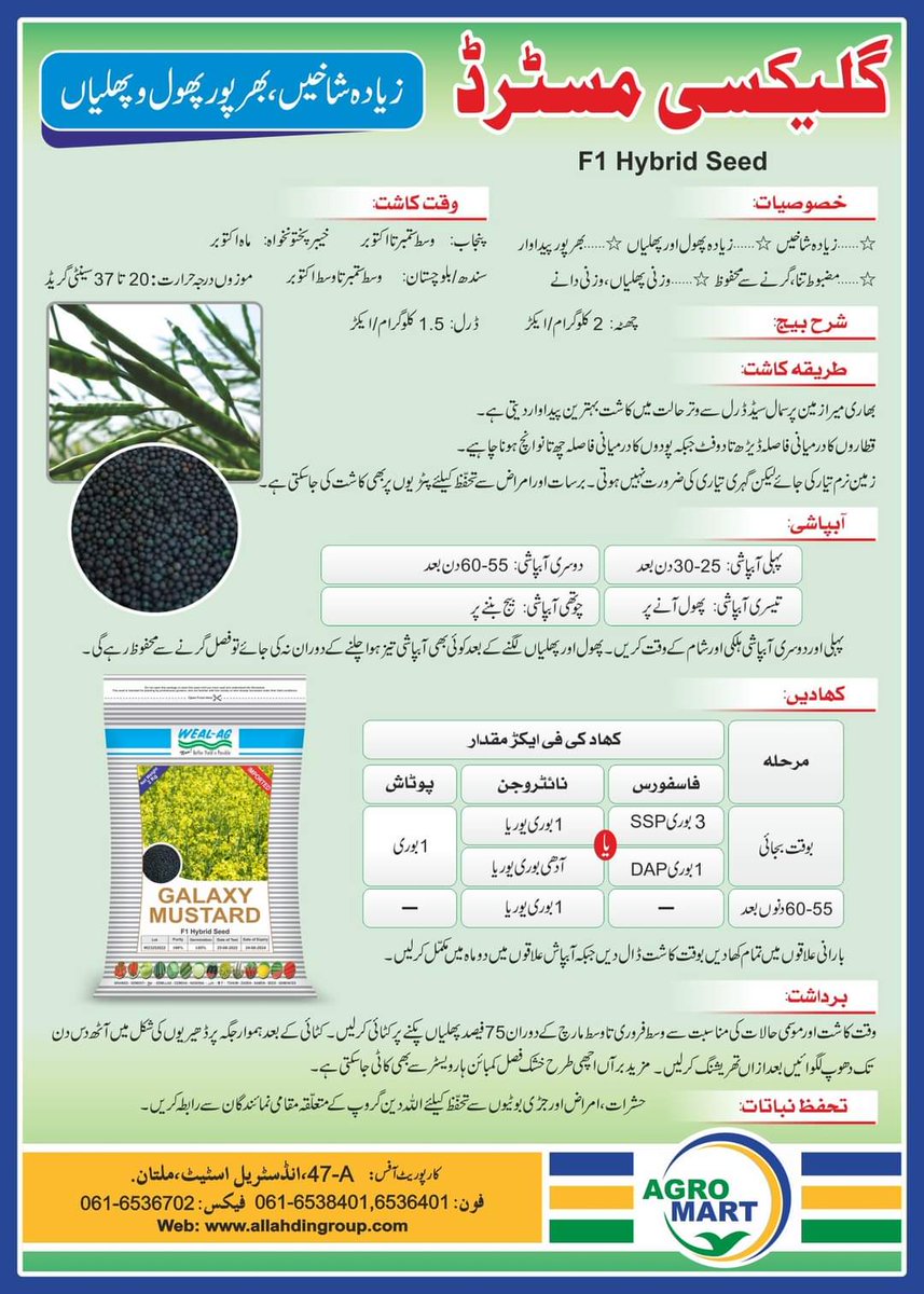 AllahdinOf's tweet photo. زیادہ شاخیں بھرپور پھول و پھلیاں
گلیکسی مسٹرڈ ---F1 Hybrid seed
ایگرومارٹ کی فرنچائز یا بااختیار ڈیلر سے نام لیکر طلب کریں۔
#AGCPakistan #AgroMart #Warble #Chemicals #Pesticides https://t.co/VYf7nmJVnH