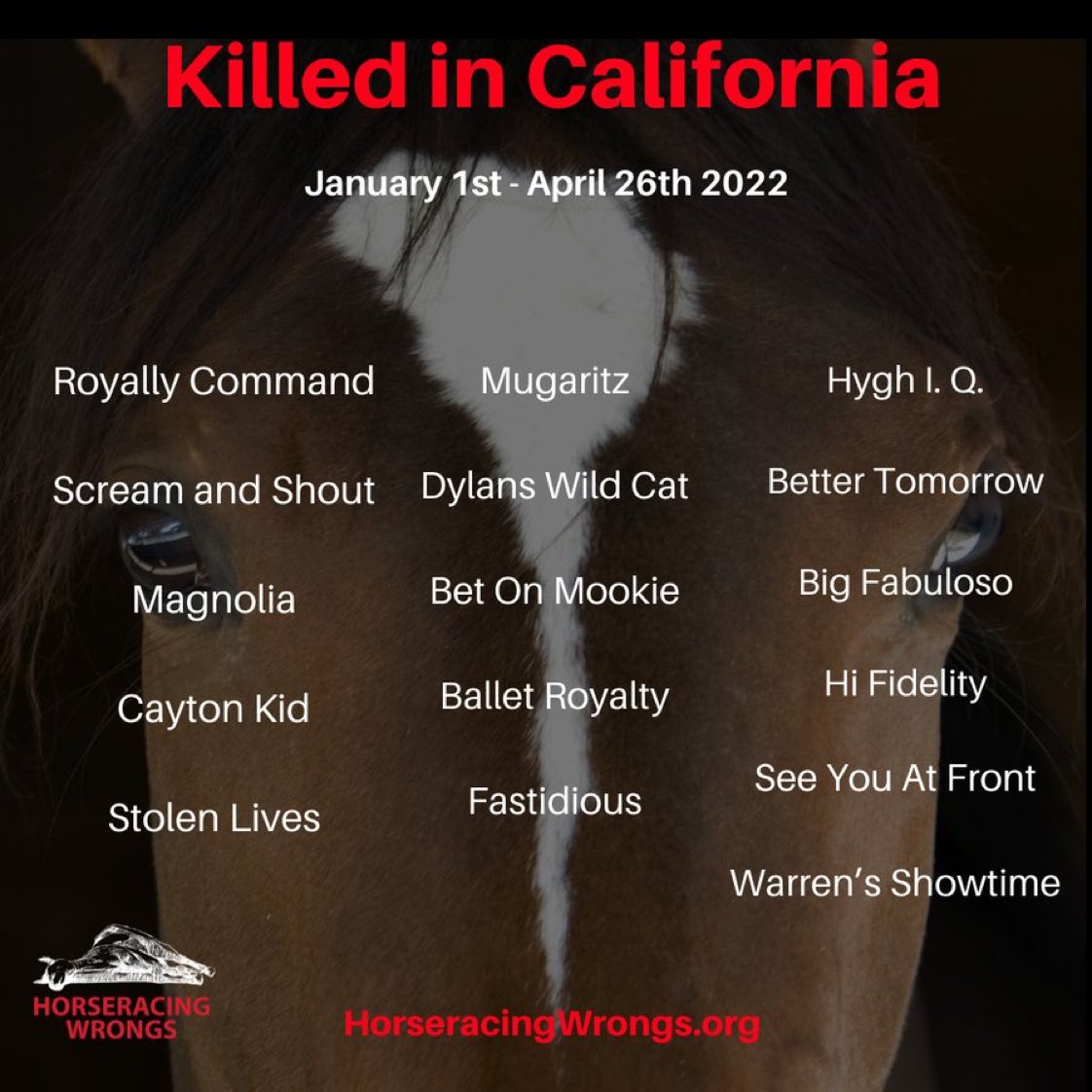 Americans in California can pave the way for other states by being the first to pass legislation making horse racing illegal. Everyone in the UK pls join us in calling upon California lawmakers to ban horse racing, as well as gambling on horse racing, in the State of California.