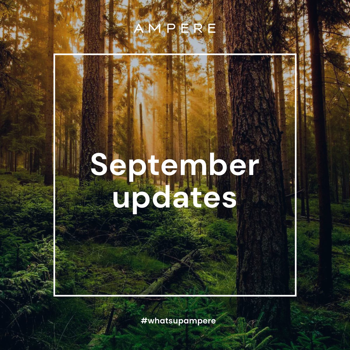 ampere_banking's tweet photo. September updates:
 ▪️Release announcement of the Ampere app
 ▪️The Smart Invoicing System has been under development

Stay tuned for October and get ready for more and more updates coming up this month!

#whatsupampere #amperenetwork #septemberupdates https://t.co/3nbEpsUSqP