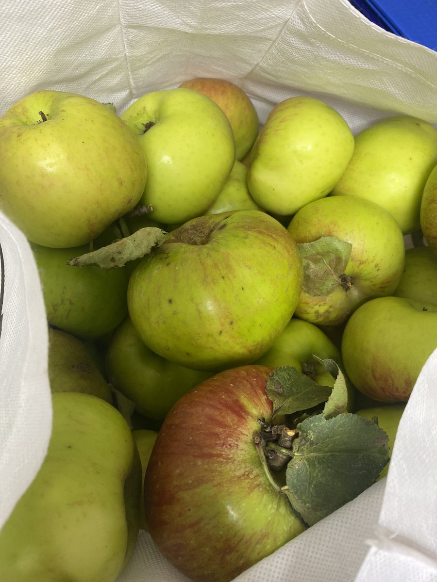 SpxFood's tweet photo. One of our wonderful students donating home grown apples to the food department 🍏 @Stpiusx_school 
#beststudents #seasonablefood #apples #applecrumble #chelseabuns https://t.co/1ZqE2CX85U