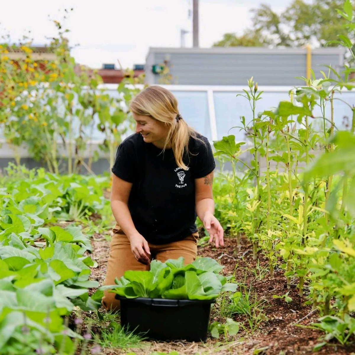 d_akkers's tweet photo. Onze collega's van #Avling Kitchen &amp; Brewery in #Toronto #Canada 🇨🇦 hebben 'n #rooftopfarm, restaurant en #brouwerij ineen. Men experimenteert er oa. met afvalwaterzuivering. #Afvalwater van de brouwerij wordt hergebruikt om de farm te irrigeren. Lees 📲: https://t.co/d4DqK3gmHT https://t.co/YOVFvU2OFQ