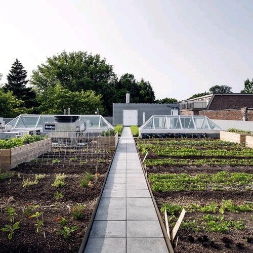 d_akkers's tweet photo. Onze collega's van #Avling Kitchen &amp; Brewery in #Toronto #Canada 🇨🇦 hebben 'n #rooftopfarm, restaurant en #brouwerij ineen. Men experimenteert er oa. met afvalwaterzuivering. #Afvalwater van de brouwerij wordt hergebruikt om de farm te irrigeren. Lees 📲: https://t.co/d4DqK3gmHT https://t.co/YOVFvU2OFQ