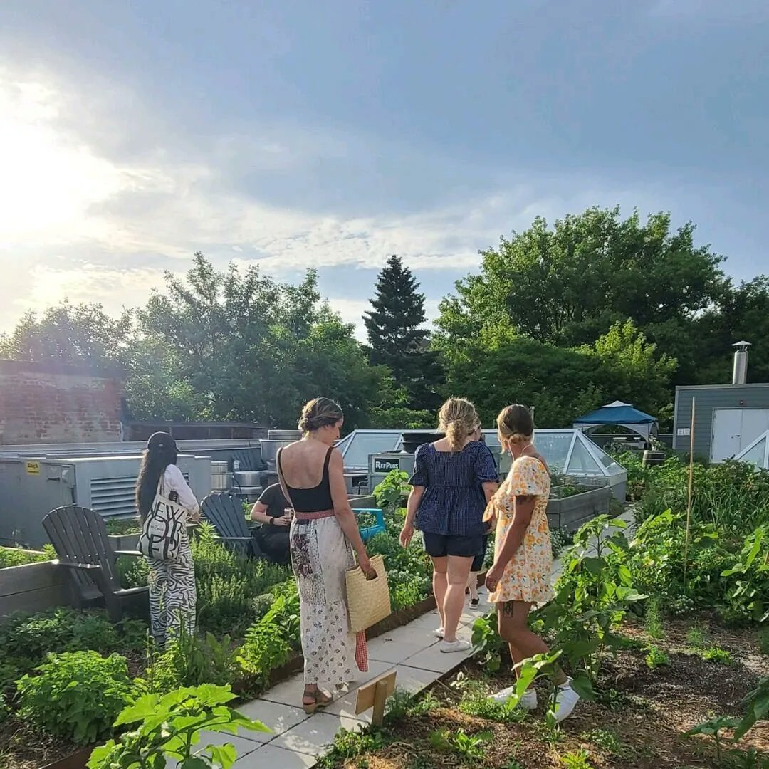 d_akkers's tweet photo. Onze collega's van #Avling Kitchen &amp; Brewery in #Toronto #Canada 🇨🇦 hebben 'n #rooftopfarm, restaurant en #brouwerij ineen. Men experimenteert er oa. met afvalwaterzuivering. #Afvalwater van de brouwerij wordt hergebruikt om de farm te irrigeren. Lees 📲: https://t.co/d4DqK3gmHT https://t.co/YOVFvU2OFQ