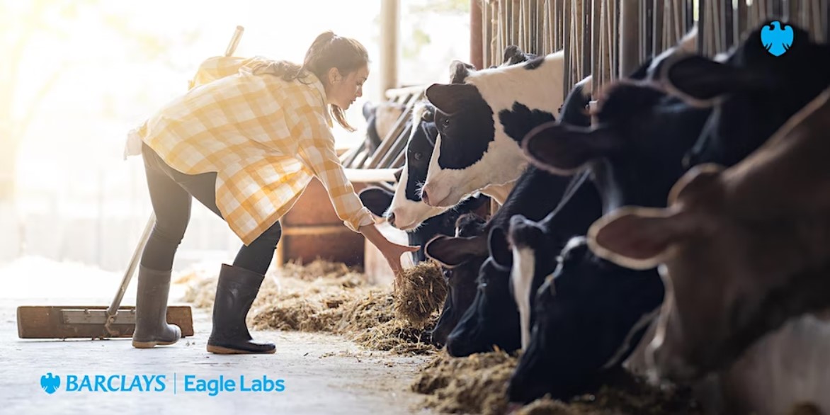 We are hosting the @Eagle_Labs_Kilm event, 'Can you help innovate the UK Dairy Supply Chain?' this Wednesday at @HALORockMe! This is a HYBRID event and you can join us in person or online! Sign up below! In person: lnkd.in/eceHPEVs Virtually: lnkd.in/eciuFiVj