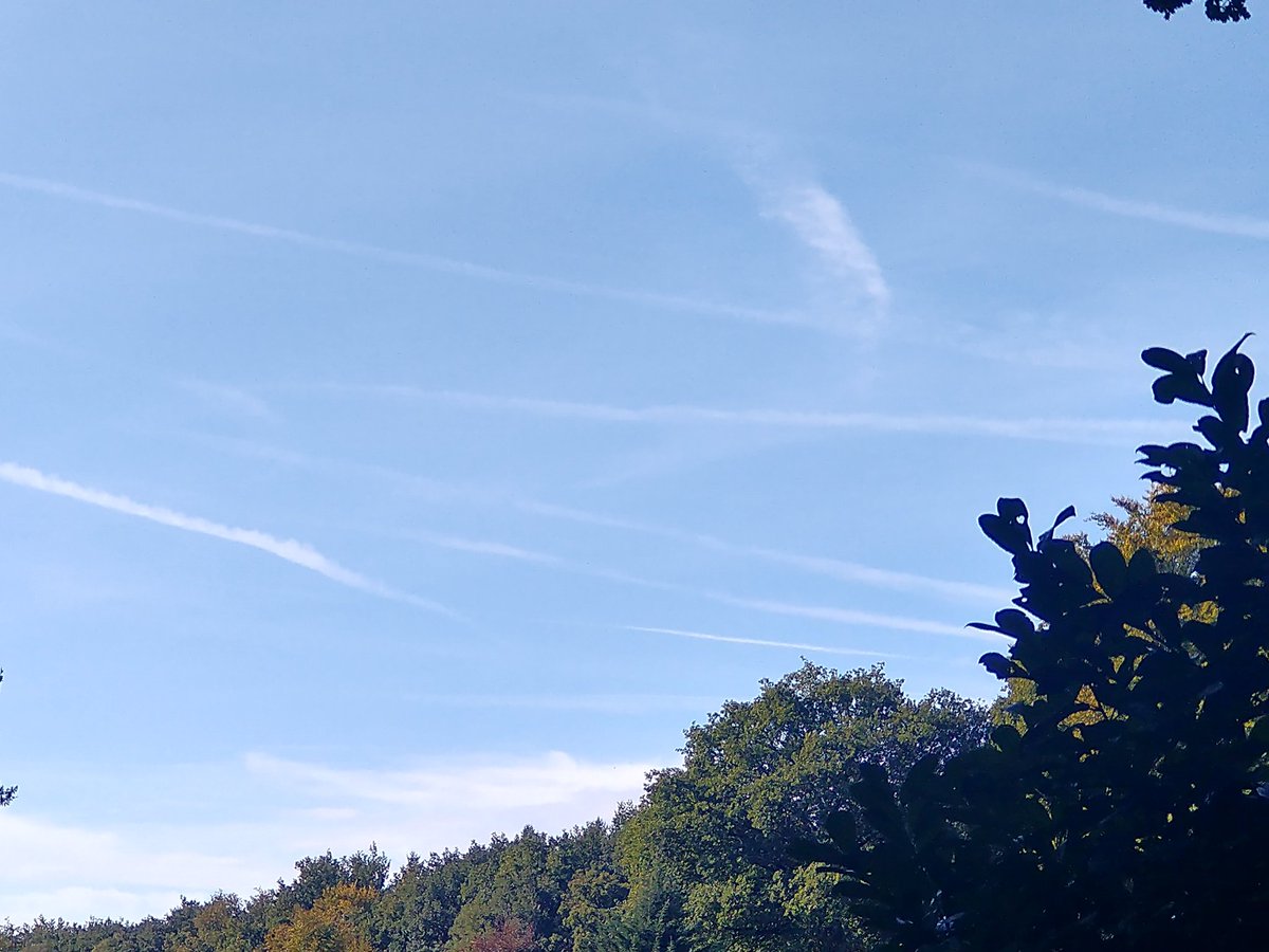 Cor10792734's tweet photo. Boven Ermelo de Veluwe...
Luchtvaartgif is overal..
#kerosineKills #stilstof #illegaal
#krimpluchtvaartNoodzaak https://t.co/nzqz4NyC4y