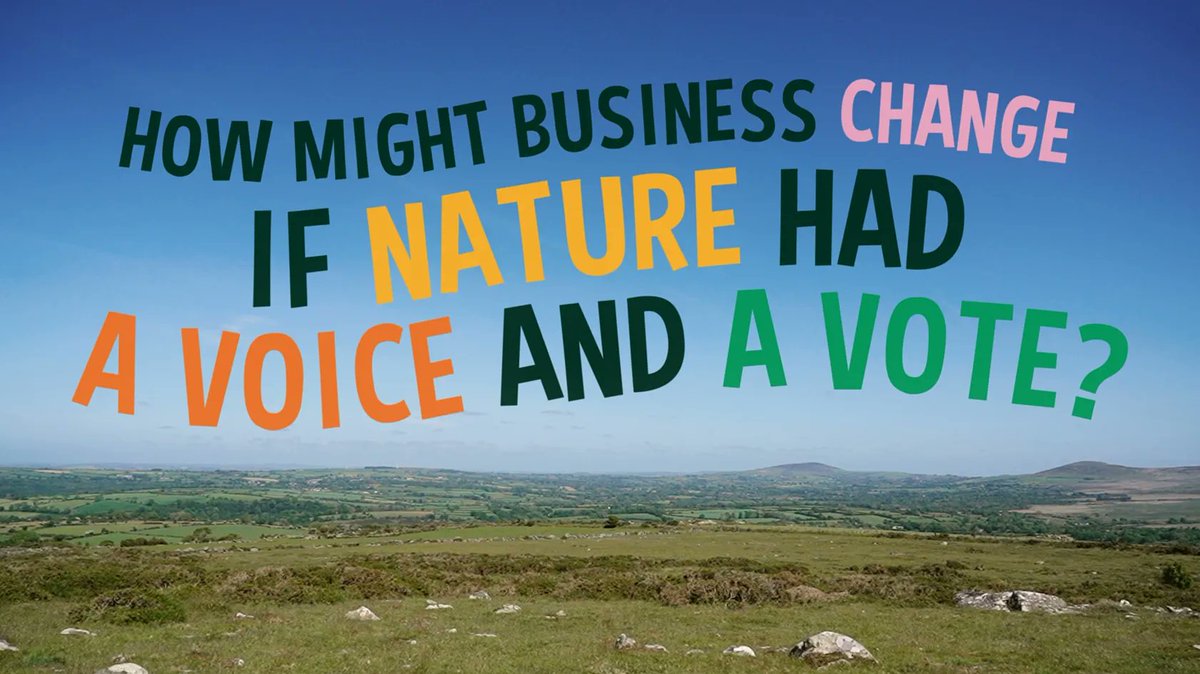 anna ott tweet media