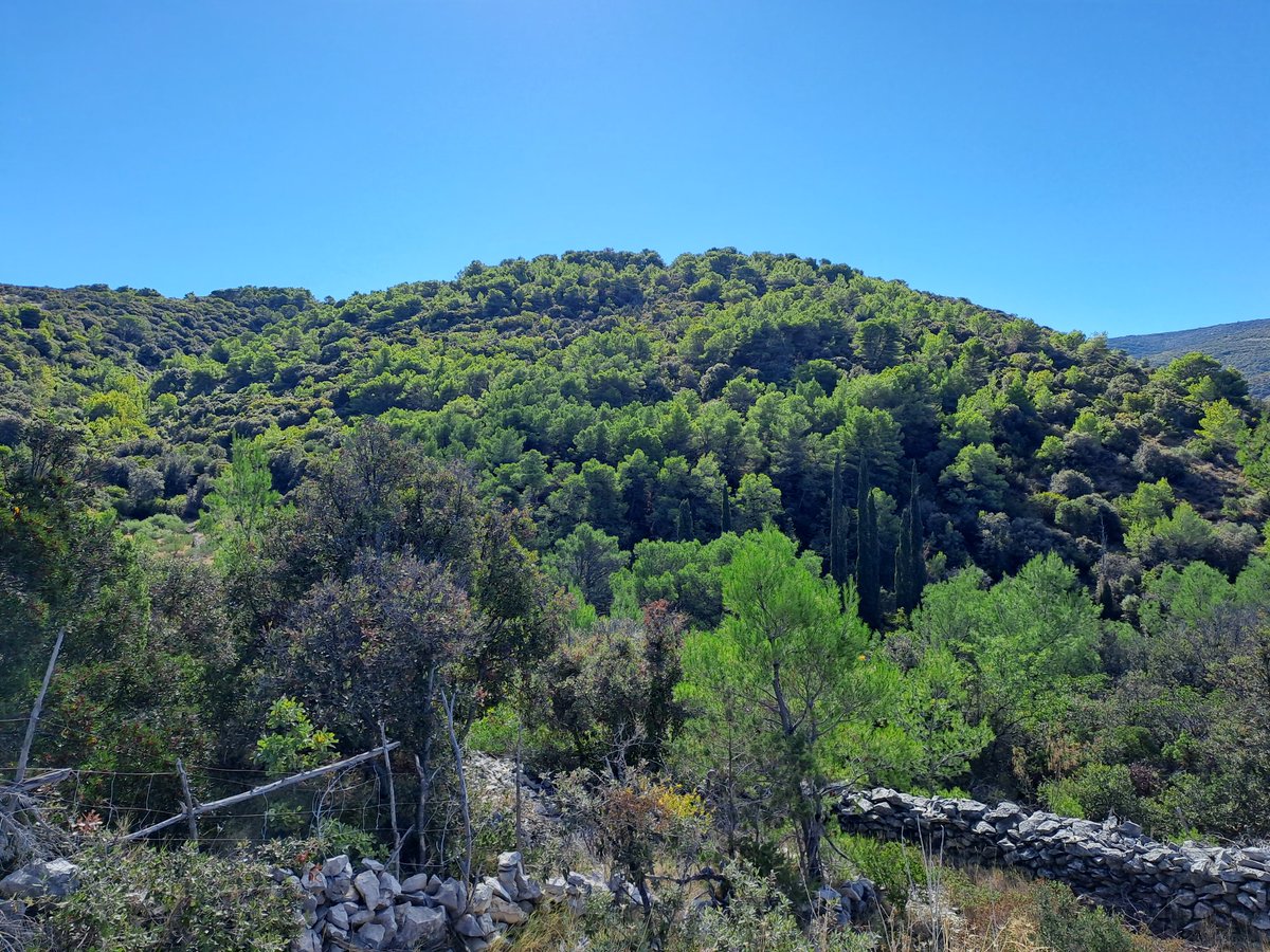 TroupyTRFC's tweet image. Well worth the yomp up from town #Puçişca 🇭🇷