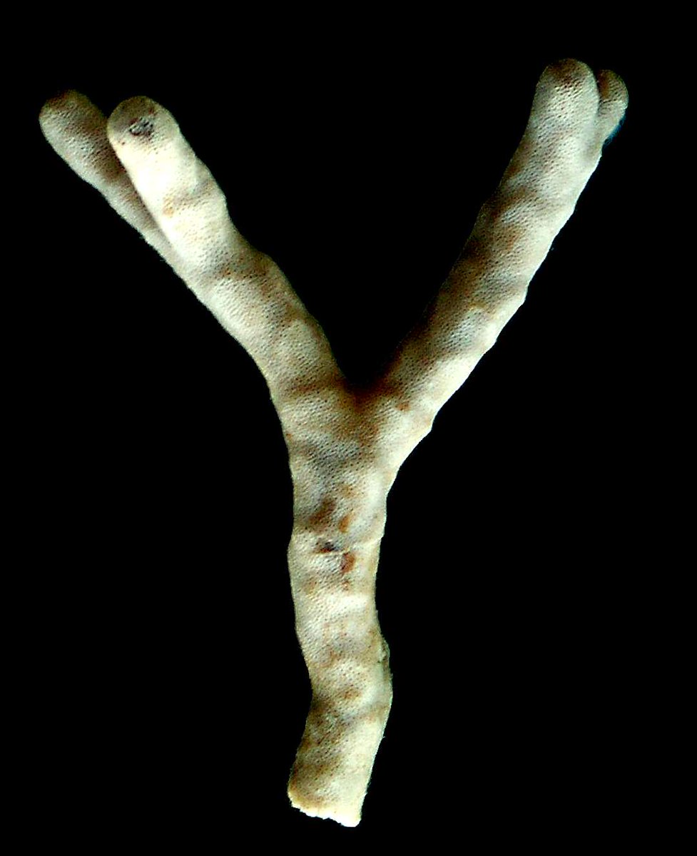 Phil Bock tweet media