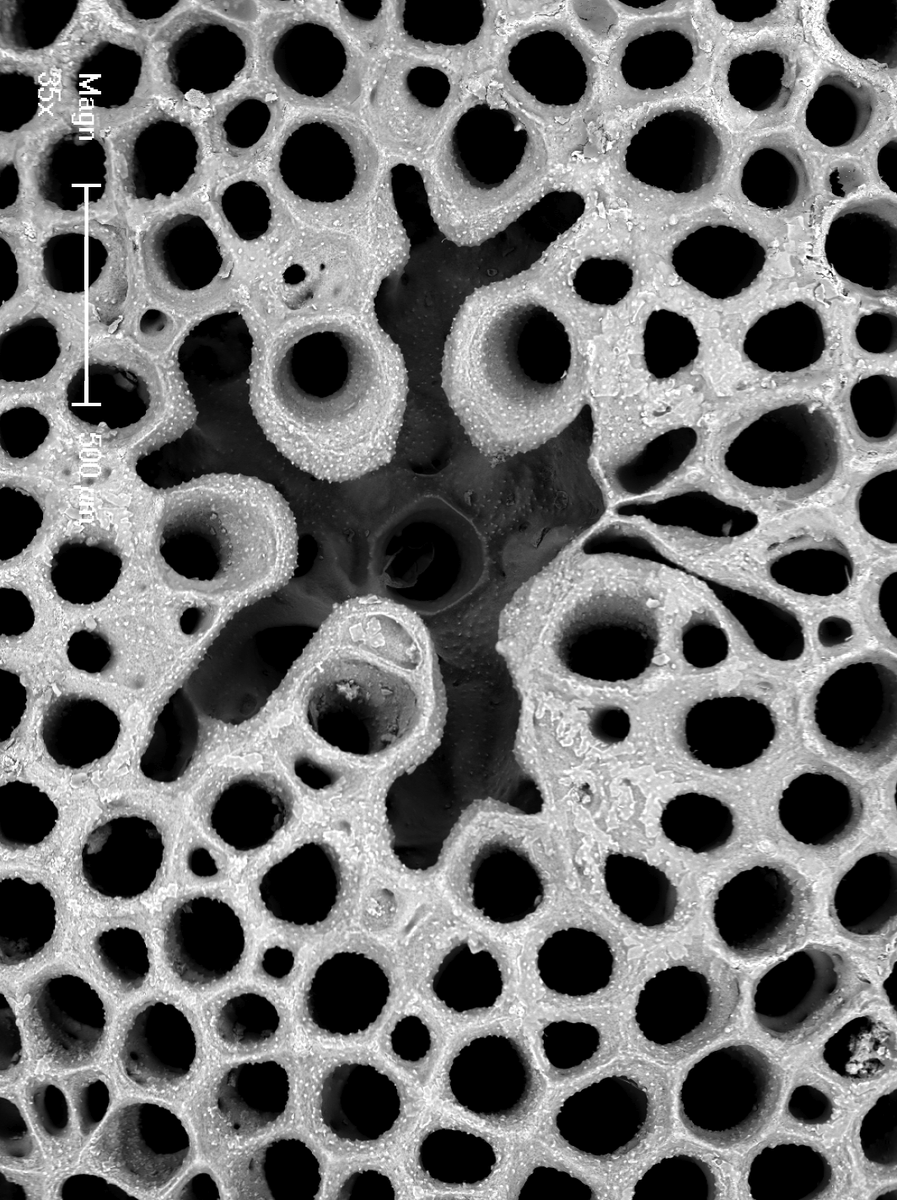 Phil Bock tweet media