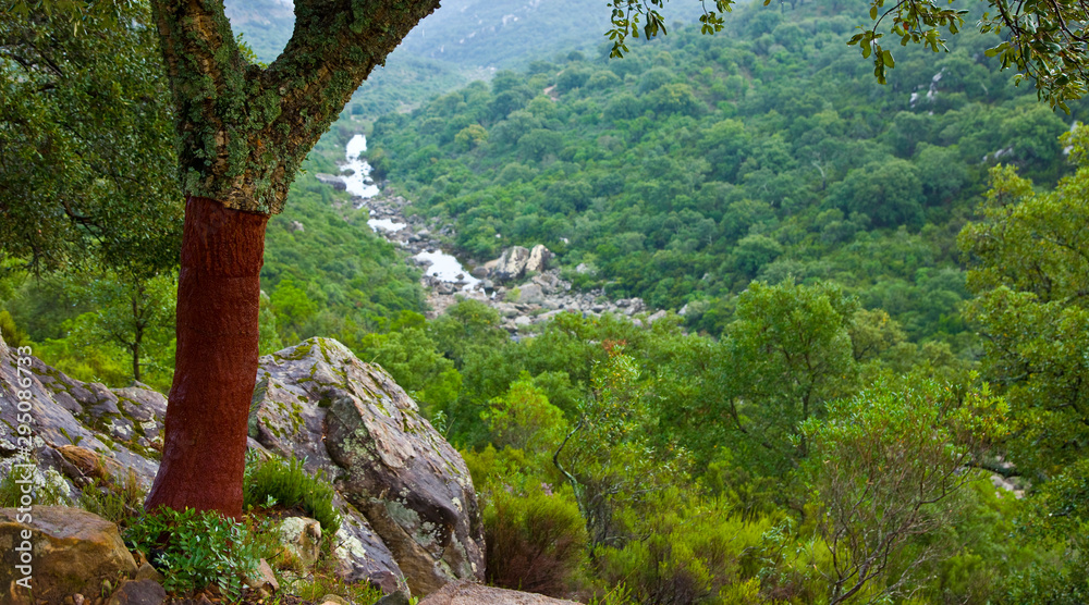 Fundación Biodiversidad on Twitter "De los 231 tipos de hábitats