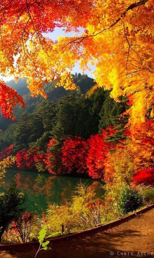 Nikol๐น๐๐น (@raducu_nicoleta) on Twitter photo <a href="/MirkoVasi2/">Mirko Vasiฤ</a> Good morning, dear Mirko โ๏ธ๐โ
I wish you a happy new week ๐ฅฐ๐น <a href="/MirkoVasi2/">Mirko Vasiฤ</a> Good morning, dear Mirko โ๏ธ๐โ
I wish you a happy new week ๐ฅฐ๐น