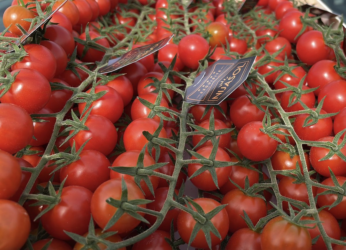 Algún tomate mas para la <a href="/FruitAttraction/">Fruit Attraction</a> <a href="/SeminisIberia/">Seminis Iberia</a>