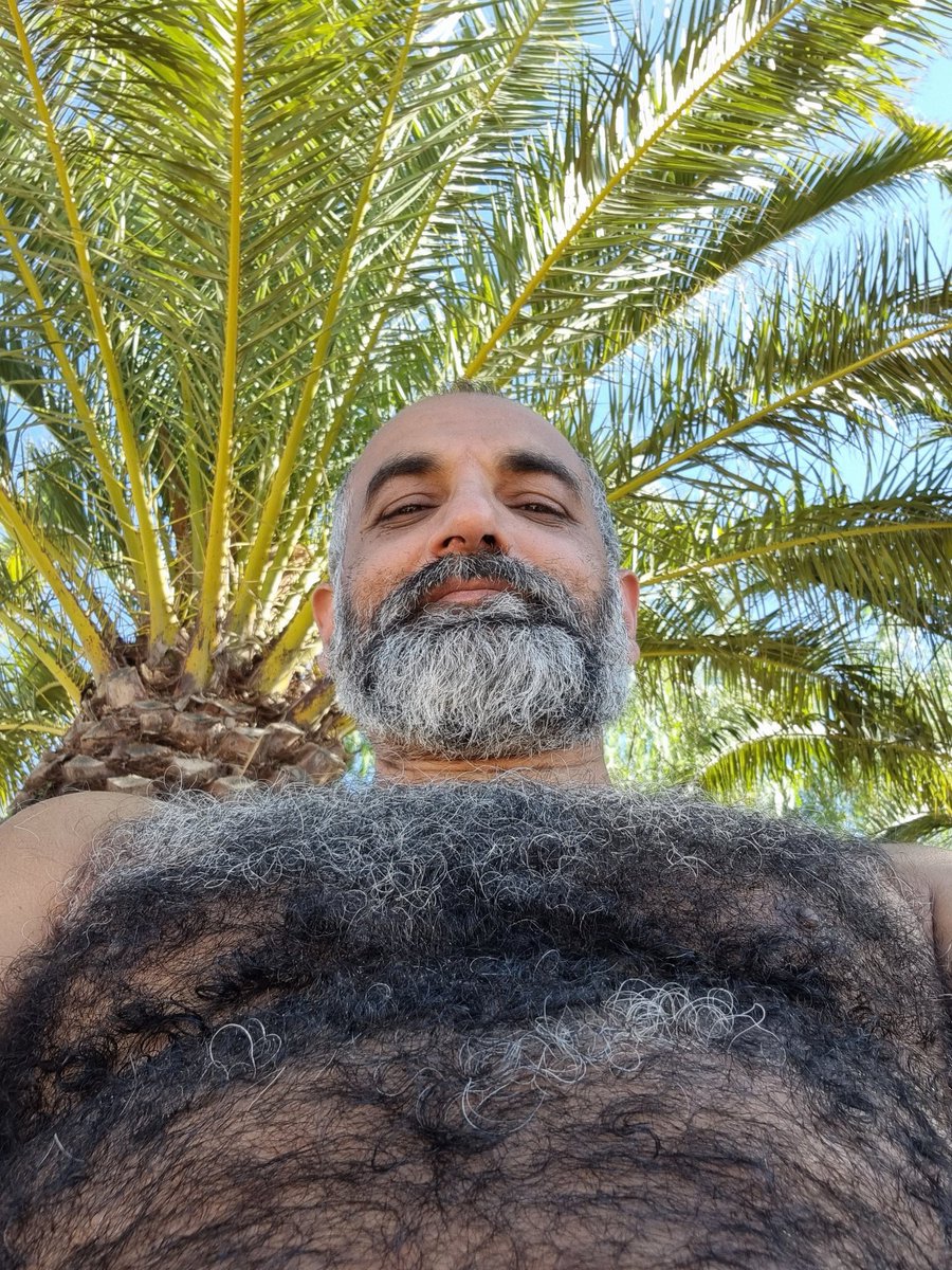 MUsmanHaq's tweet photo. https://t.co/JiLaZYSj35