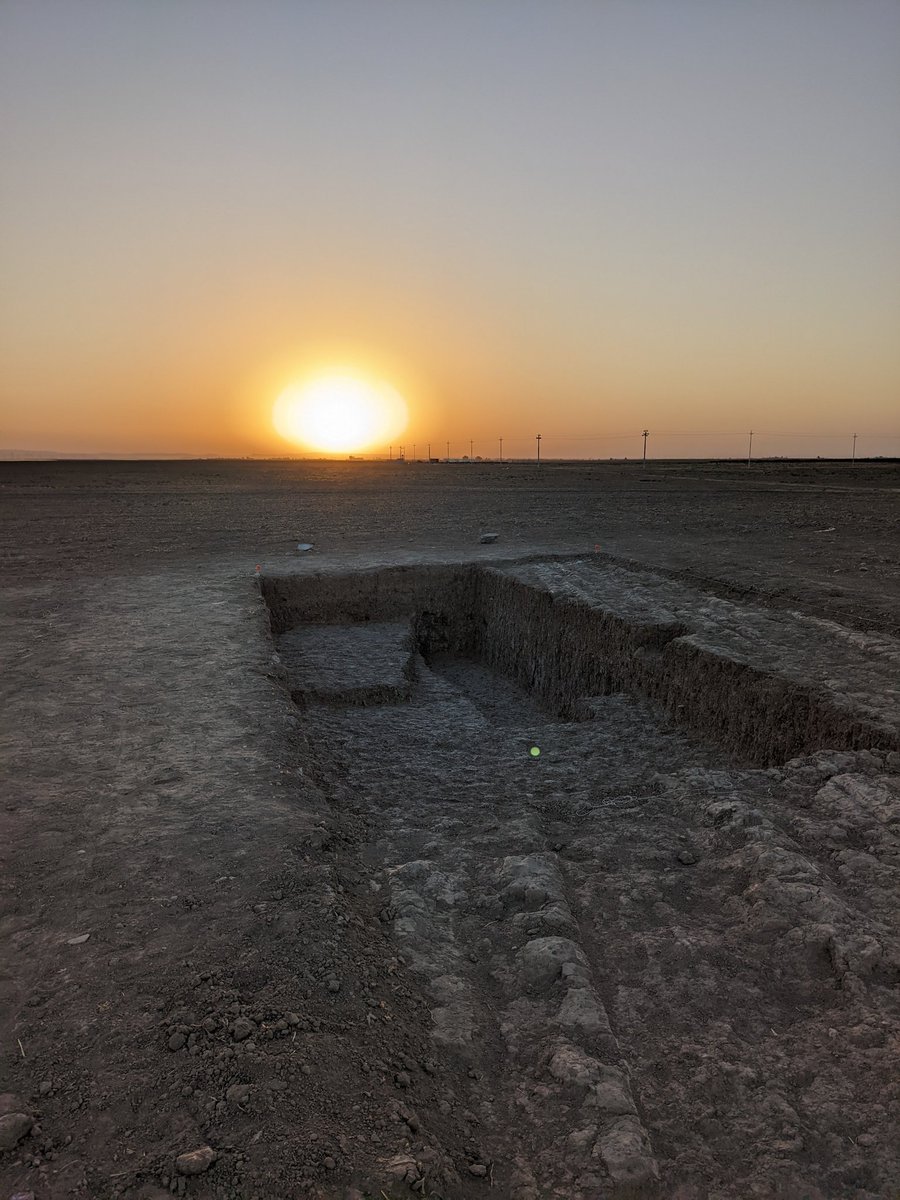 petramcreamer's tweet photo. It was our last day in the field for the #QachRresh team!! Baulk drawings and backfilling galore. Already have so many unanswered questions for our next season, but that's the beauty of #archaeology, right? https://t.co/dqzNaVfln4