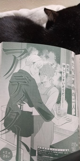 9月30日発売のdrap11月号に「アディクト」第2話を掲載して頂いてます。どうぞよろしくお願いいたします🙇 