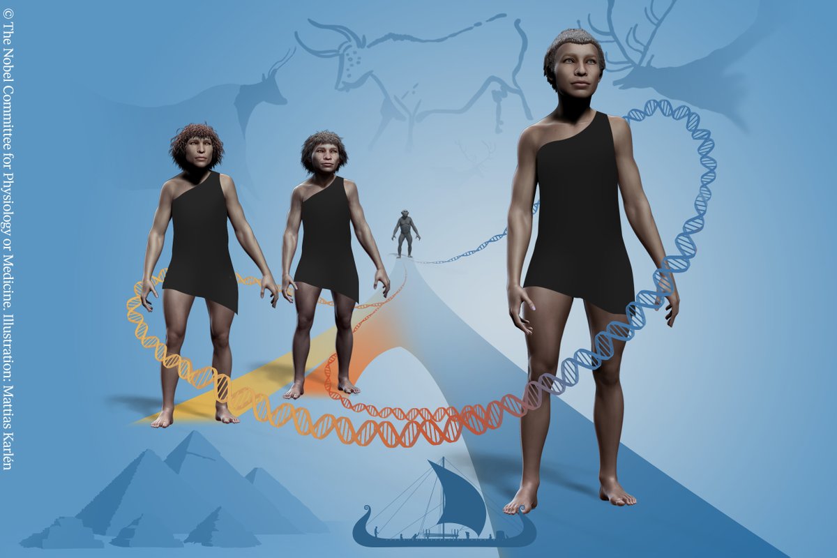2022 #NobelPrize laureate Svante Pääbo has established an entirely new scientific discipline, paleogenomics. By revealing genetic differences that distinguish all living humans from extinct hominins, his discoveries provide the basis for exploring what makes us uniquely human.