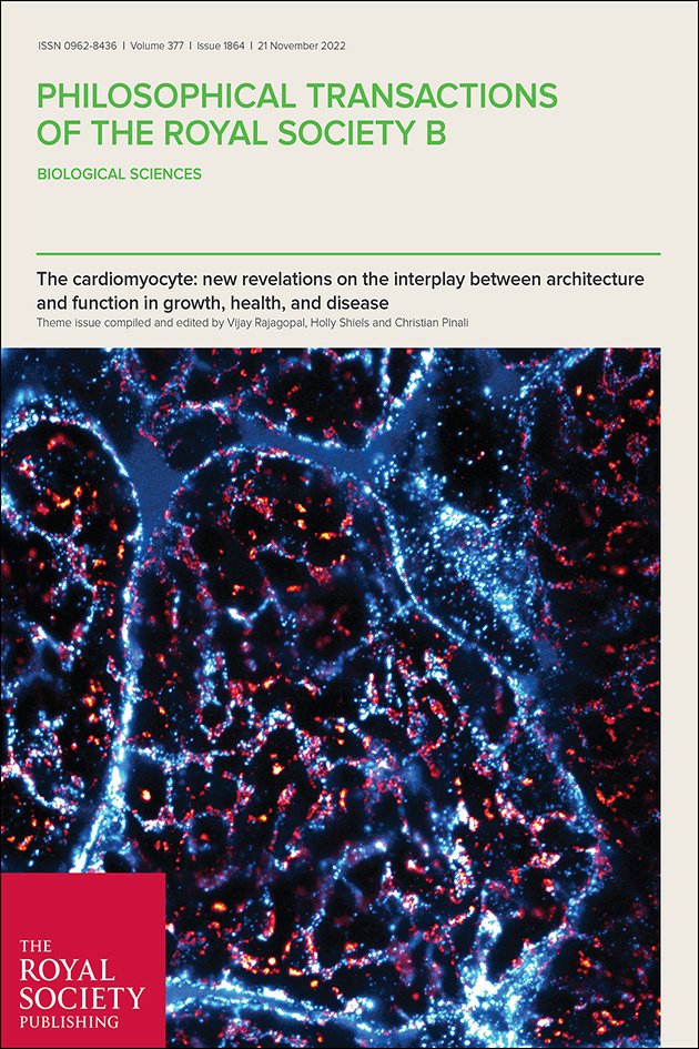 Royal Society Publishing (@rsocpublishing) on Twitter photo This week's #PhilTransB issue explores heart muscle form and function at sub-cellular scale, and how the internal organisation of muscle cells in the heart play an integral role in heart function and remodeling. ow.ly/NS3950KZp4g <a href="/vj_rajagopal/">Vijay Rajagopal</a> <a href="/OFishialLab/">O-Fish-ial Lab</a> This week's #PhilTransB issue explores heart muscle form and function at sub-cellular scale, and how the internal organisation of muscle cells in the heart play an integral role in heart function and remodeling. ow.ly/NS3950KZp4g <a href="/vj_rajagopal/">Vijay Rajagopal</a> <a href="/OFishialLab/">O-Fish-ial Lab</a>