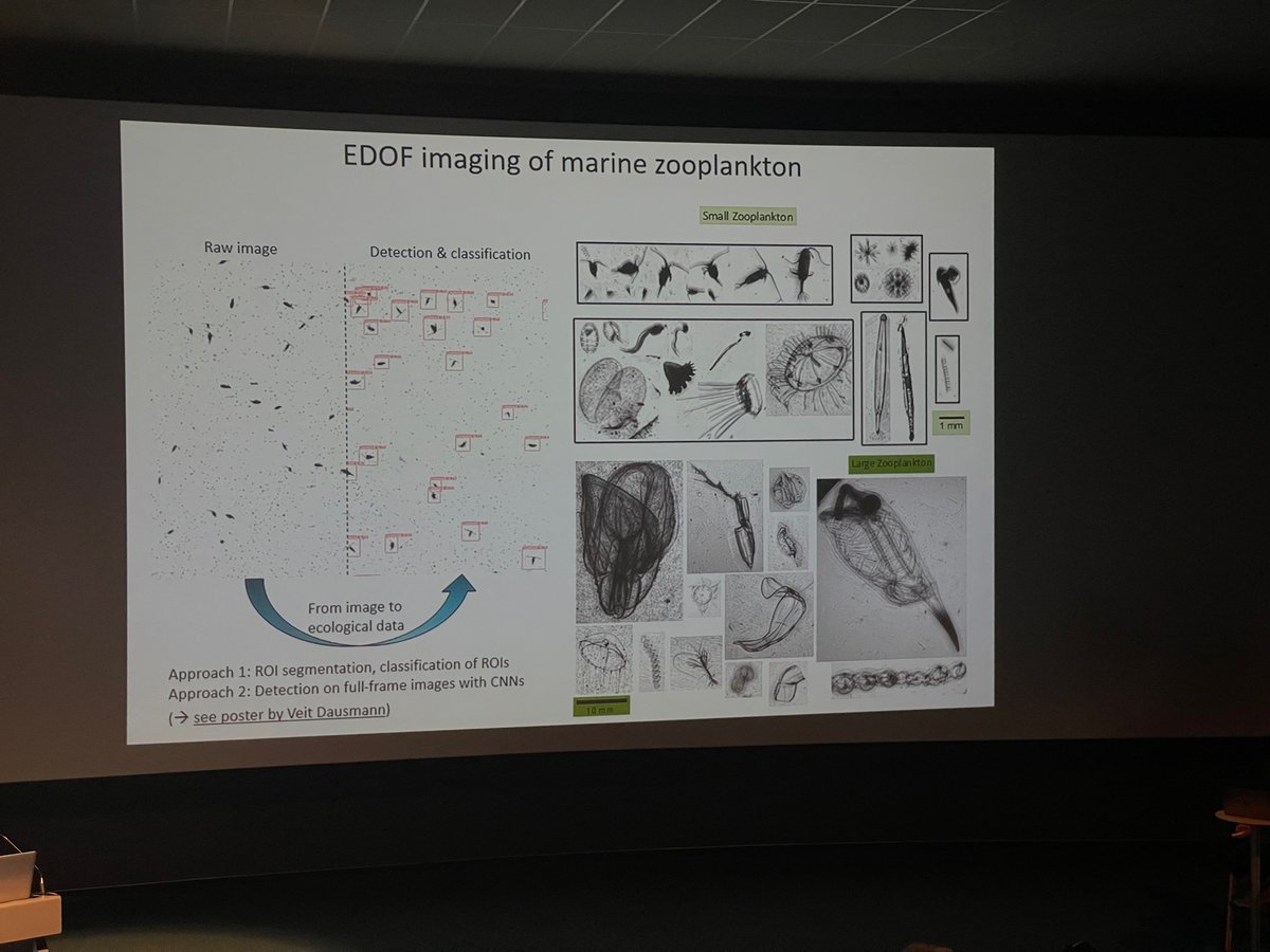 <a href="/ClaudeLi19/">Claude Li</a> And another #snotpalace sighting, this time brought to #MIW2022 by PIScO. Fabulous!! 🤩