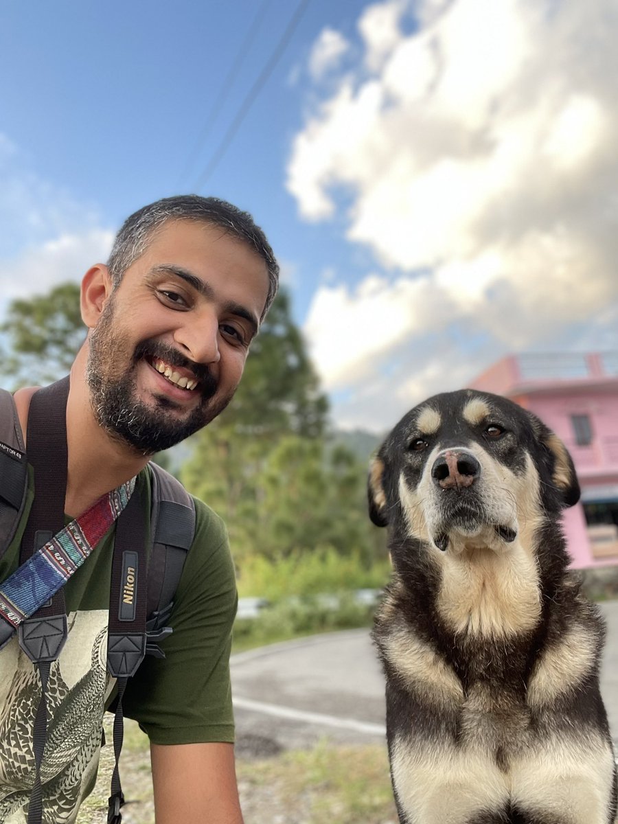 Say hello to these two happy bois 
#doggolove #cute #mountaindogs #hiking #hikingbuddy