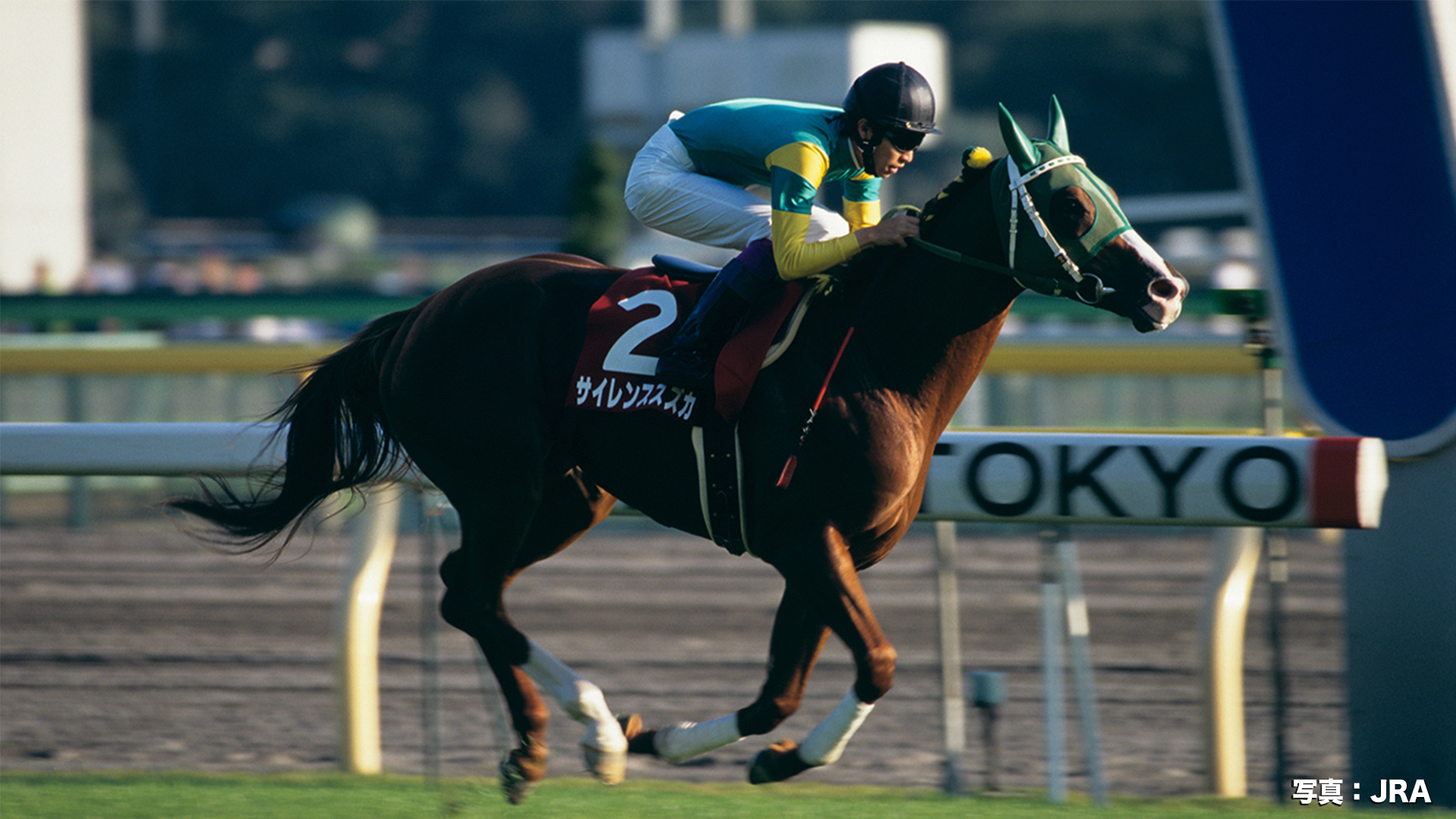 伝説の毎日王冠 3強馬券 サイレンススズカ グラスワンダー エル