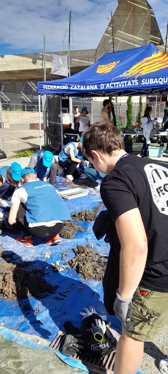 EveniaHotels's tweet photo. Evenia Hotels participa en una limpieza de fondo marino en Barcelona con Federació Catalana d'Activitats Subaquàtiques. 

#EcoEvenia

Colabora también Aigües de Barcelona @aiguesbcnclient https://t.co/mP1fY4WrrN
