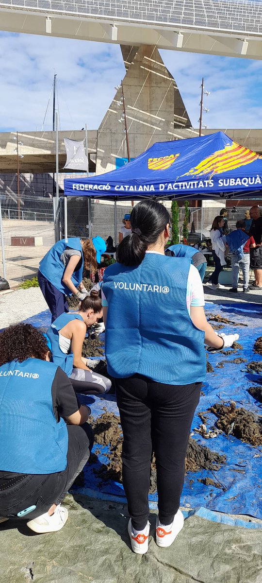 Evenia Hotels (@eveniahotels) on Twitter photo Evenia Hotels participa en una limpieza de fondo marino en Barcelona con Federació Catalana d'Activitats Subaquàtiques.
#EcoEvenia
Colabora también Aigües de Barcelona <a href="/aiguesbcnclient/">Aigües de Barcelona</a> Evenia Hotels participa en una limpieza de fondo marino en Barcelona con Federació Catalana d'Activitats Subaquàtiques.
#EcoEvenia
Colabora también Aigües de Barcelona <a href="/aiguesbcnclient/">Aigües de Barcelona</a>