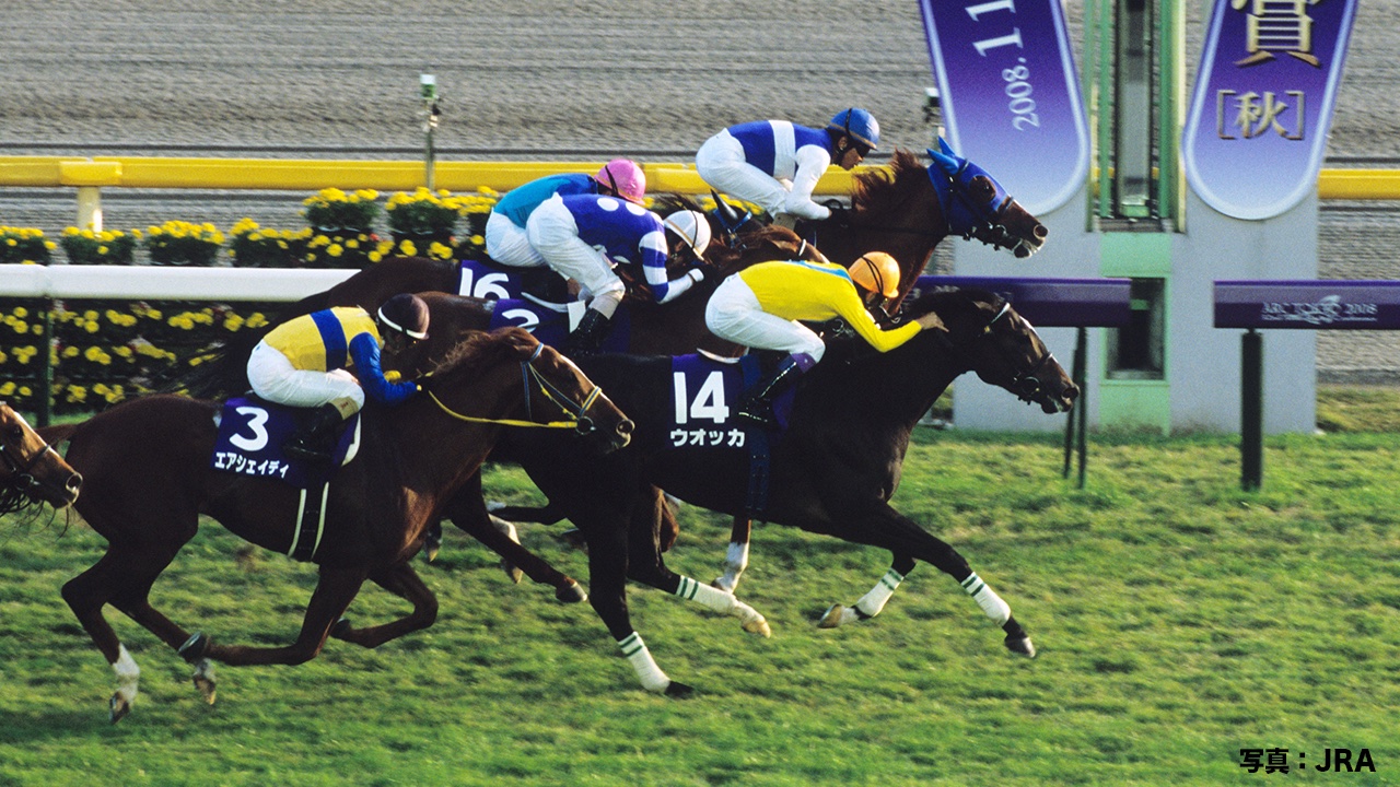 JRA FUN على X: 