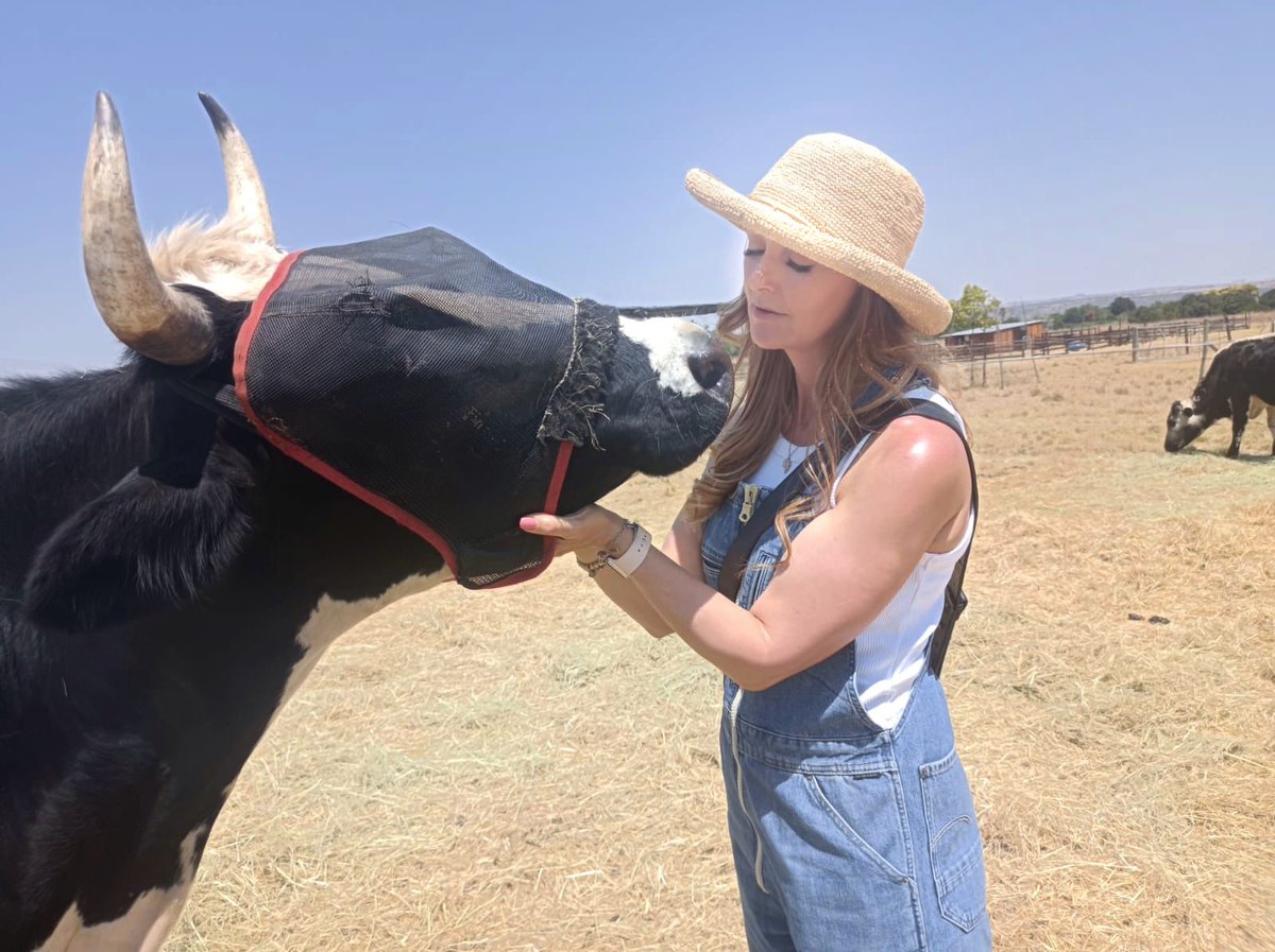 Spent Global Farm Animal Day at the tranquil <a href="/AFSanctuary/">AshersFarmSanctuary</a> 🐷🐐🐄🐎🐑 … my heart is full! 

Thanks <a href="/PetraLaranjo/">Petra Laranjo</a> for having the best birthday parties 🌸💕

#hdigbtt